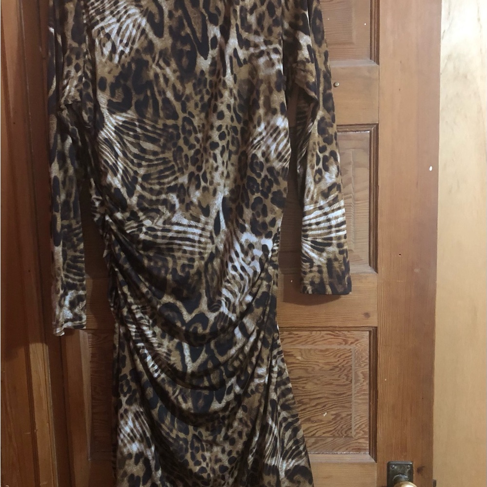 Leopard Print Long Sleeve Dresser With Ruching Detail.
